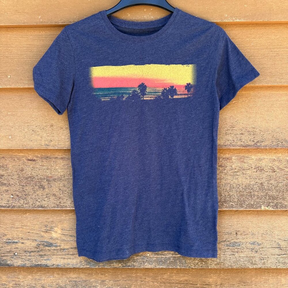 Goodfellow & Co Mens Beach Sunset Graphic T-Shirt Small Classic Fit Blue Cotton